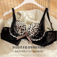 7735 Visit Customers🎉Leopard Print Lace Underwear Women's Small Breasts Gathered to Look Big Thicker