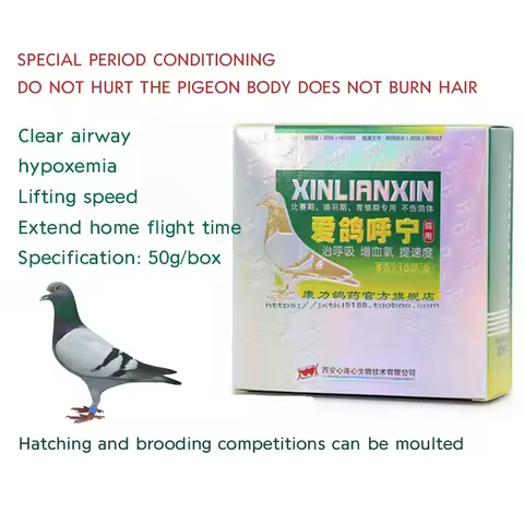 Pigeon racing cleaning Pigeon racing pigeon cleaning respiratory tract increase blood oxygen lifting