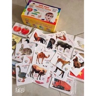 Set of 416 learning cards size 7 x 10cm
