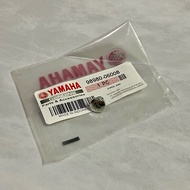 Y125Z Y125ZR LC135 SRL110 SRL115 RXZ FZ150 MUFFLER PROTECTOR SCREW (CHROME) 98980-06008