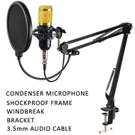 ♞Riworal V9 Condenser Microphone Sound Card Complete Set