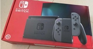 Switch 大電版