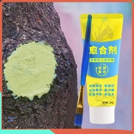 XUESEE Grafting Tree Sealer, 100g with Brush Tree Wound Sealant,  Smear Agent Tree Repair Plant Rest