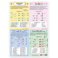 Knowledge Poster I'm Lak Filter Chapter Eight Poems Four Polite Capyani 11 Intrawichiteite A4 Size E