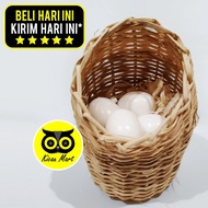 SERAT GOWOK SARANG SUSUH TEMPAT BERTELUR TELUR BURUNG LOVEBIRD LOVE BIRD KENARI PARKIT TERNAK GOWOKK