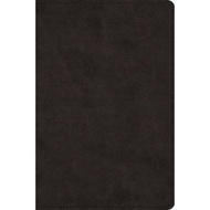 Large Print Bible-ESV by Crossway Bibles (US edition, paperback)