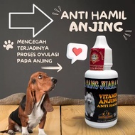obat hewan mencegah ke hamilan pada hewan anjing obat anti hamil