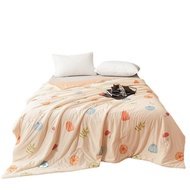 2024 Summer, New Style, Cold Yarn Printing, Duvet, Double Core, Cool Summer, Duvet, Air Conditioning