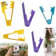[chulisia]  Stripper, Flower Remover Tool, Leaf Thorn Removal Clip, Flowers Piercing Forceps Tool fo