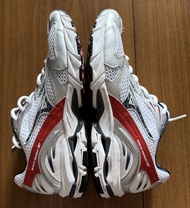 Mizuno wave rider 10