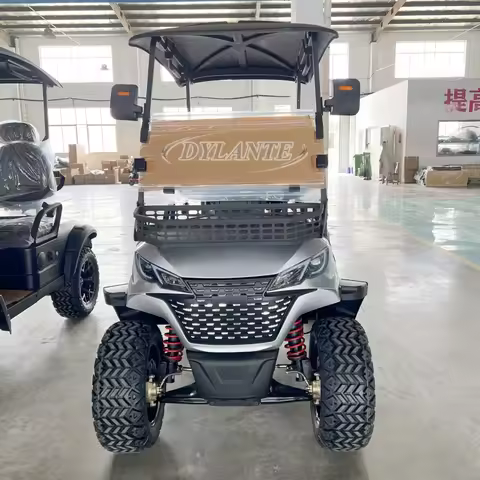 2025 New Solar Panel Powered 72V 48V 5KW 4KW AC System Lithium Battery High Performance 2 Seater Ele