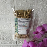 Kapsul Tribulus Herbal Asli Isi 100