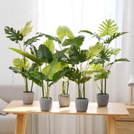 Artificial Caladium Tree for Home Office Decoration | Pokok Bunga Keladi Tiruan untuk Hiasan