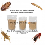 Roach chow/Makanan Dubia turkestan Madagascar roaches