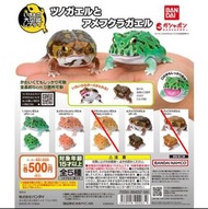 [扭蛋] 掌上可動大圖鑑系列 角蛙&饅頭蛙