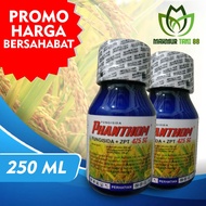 FUNGISIDA FHANTHOM 425 SC 250ml Bahan aktif azoksistrobin 200 g/l difenokonazol 125 g/l karbendazim 