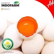 [BUNDLING 3 BOXES] Original Free Range Chicken Eggs - Omega 3 HT Eggs