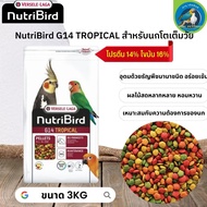 สุดยอดนูทรี !! NutriBird G14 tropical อาหารเม็ดสำเร็จรูป นกพาราคทีขนาดใหญ ขนาด 3kg