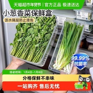 Japanese Coriander Scallion Fresh-keeping Box Food Grade Vegetables Onion Ginger Garlic Refrigerator