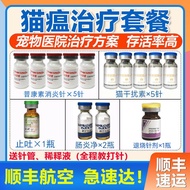 Cat Plague Therapy Plan About Five Days Per Serving