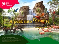 Bird Paradise Park singapore (E ticket)
