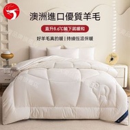 A1 - (單人150x200cm) 優質加厚羊毛被 採用澳洲入口羊絨 冬季保暖 乾爽不焗 被芯／棉被／床上用品／冬季被／天然羊毛