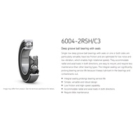 SKF BEARING C3 [ C3 ] 6004