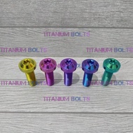 Titanium Bolts GR5 Titanium Bolts M10X30 Original Titanium Umbrella Bolts