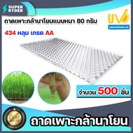 ถาดเพาะกล้านาโยน 434 หลุม (หนา) แพ็ค 500 ชิ้น ถาดเพาะกล้า กล้านาโยน ถาดเพาะนาโยน เพาะกล้านาโยน ถาดนา