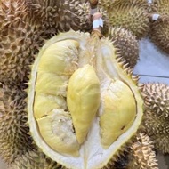 buah durian Montong Bali utuhan 4kg