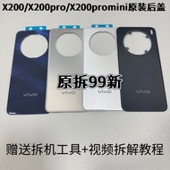 Back Cover for Vivo X200 / X200 Pro / X200 Pro Mini (Unlocked)