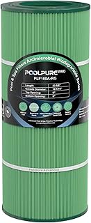 POOLPURE PLF100A Pool Filter, Compatible with CCRP100, PAP100, PAP100-4, Ultral-C3, Unicel C-9410, R