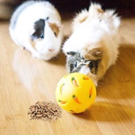 SK Rabbit Treat Pet Slow Interactive B Snack Toy Ball Bite Resistant Feeding Toys Ferret