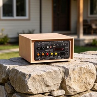 D10 miniature home power amplifier box