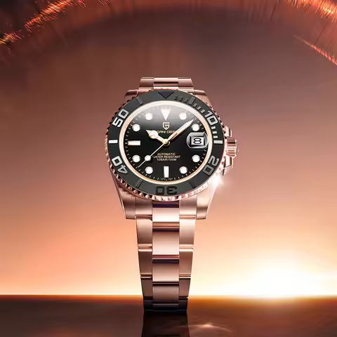 PAGANI DESIGN Sports Men Mechanical Wristwatch Sapphire Luxury Automatic Watch for Men Stainless Ste