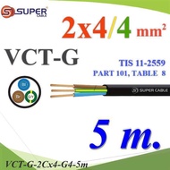 5 Meters VCT-G Wires Total 3 Pvc Insulated Flexible Cable 2 Core 4.0 mm2 Waterproof For External Use