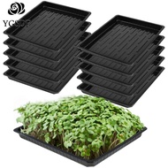 YGSDF 10Pcs No Holes Plant Growing Trays Reusable Plastic Bonsai Flowerpot Tray Sprout Hydroponic Systems Durable Seed Propagation Tray Seedlings