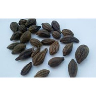 SERBUK BUAH CEKELI/LANGKAU (KELENTIT) 50G ‼️