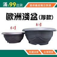 European Shallow Pot Embossed 20cm 27cm