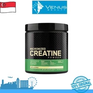 Optimum Nutrition Micronized Creatine Powder 300g | ON Creatine Monohydrate Supplement | Gym Fitness
