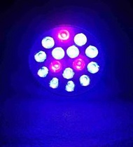 【光力能LED植物燈坊】PAR38燈 E27螺口 15W射燈12藍3紅藍多多適合增色防徒長植物生長燈補光燈 
