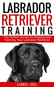 Labrador Retriever Training Lionel Joel