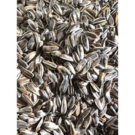 Sunflower Epot Size 10KG.