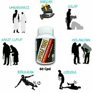 Kapsul TIgas Penawar Sakit Sendi Lutut Pinggang Gaot Original 60 Kapsul