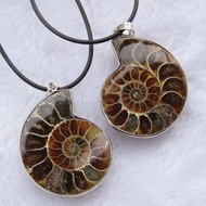🌏Youjiayi🌏Natural Conch Fossil Slice Pendant Ammonite Jade Specimen Birthday Gift Couple Necklace Al
