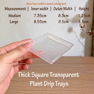 Plastic Heavy Duty Sturdy Plant Saucer Drip Trays Indoor Outdoor, Succulent potting tray