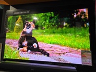 🔥三星65吋三星OLED 特平$12000 (原價$26980) 三星 SAMSUNG 55吋 65S90F S90F OLED 4K 120HZ OLED TV 智能電視 香港三星行貨 2025年款