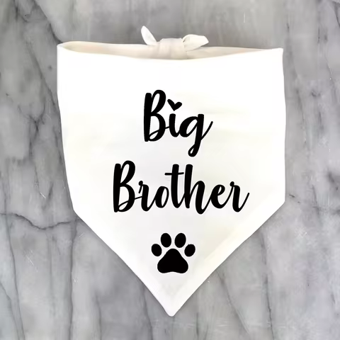 Big Brother Dog Bandana Pregnancy Announcement Photos New Puppy Gotcha Day Gender Reveal Black White