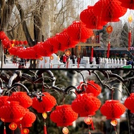 燈籠 新年 Traditional Chinese Red Lantern, Chinese New Year Decorations 2025, Waterproof Red Lantern Chi