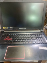 Acer  predator